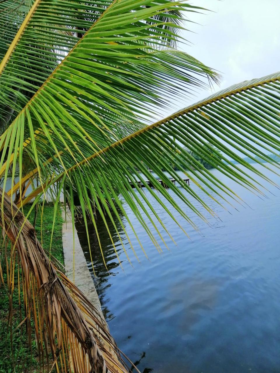 Hikka Lagoon Hikkaduwa Kültér fotó