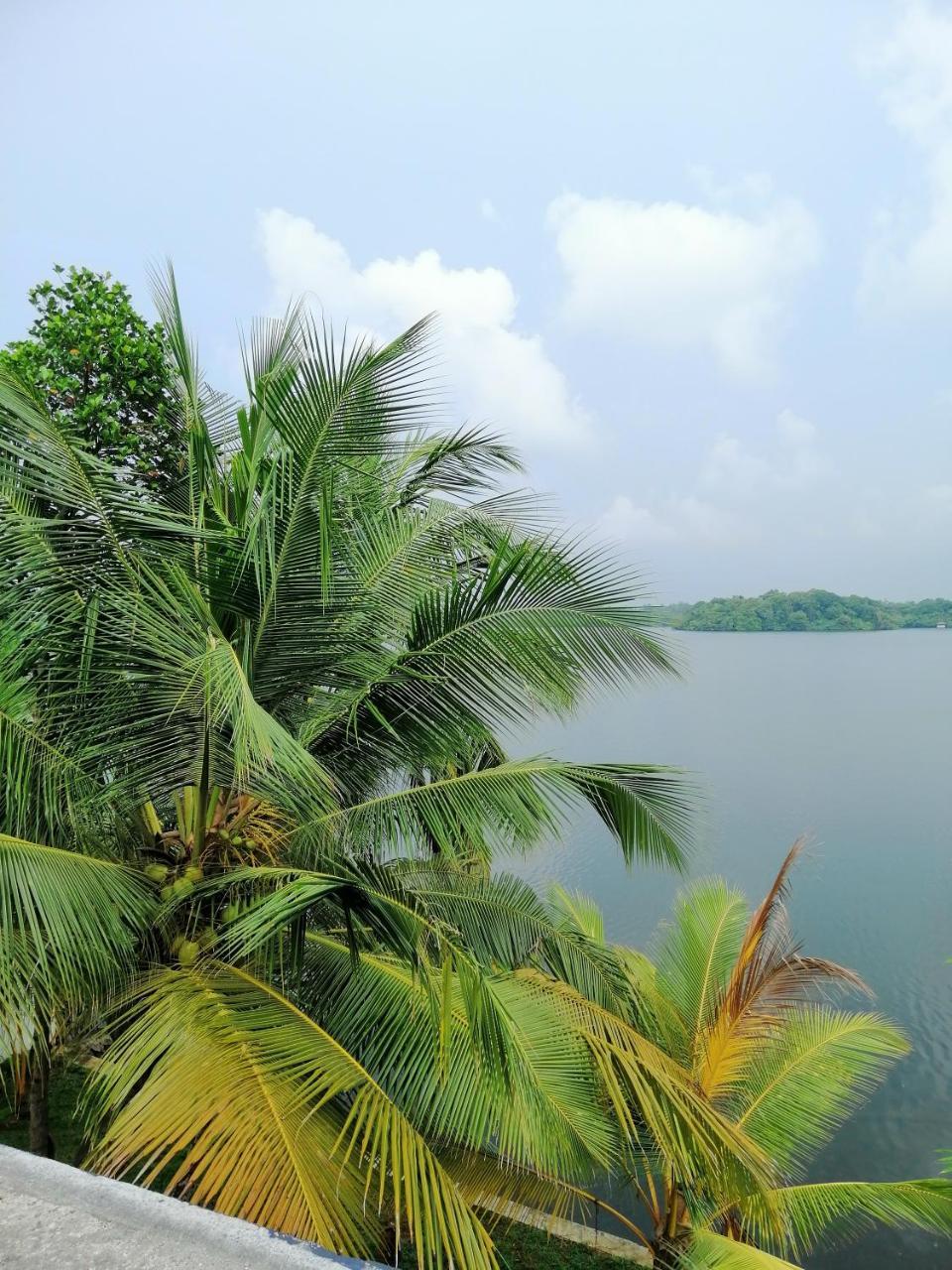 Hikka Lagoon Hikkaduwa Kültér fotó