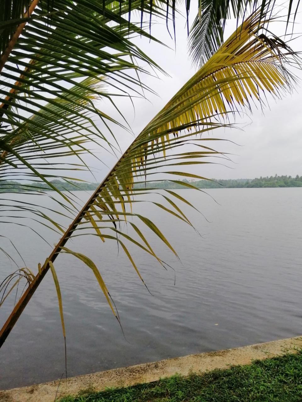 Hikka Lagoon Hikkaduwa Kültér fotó